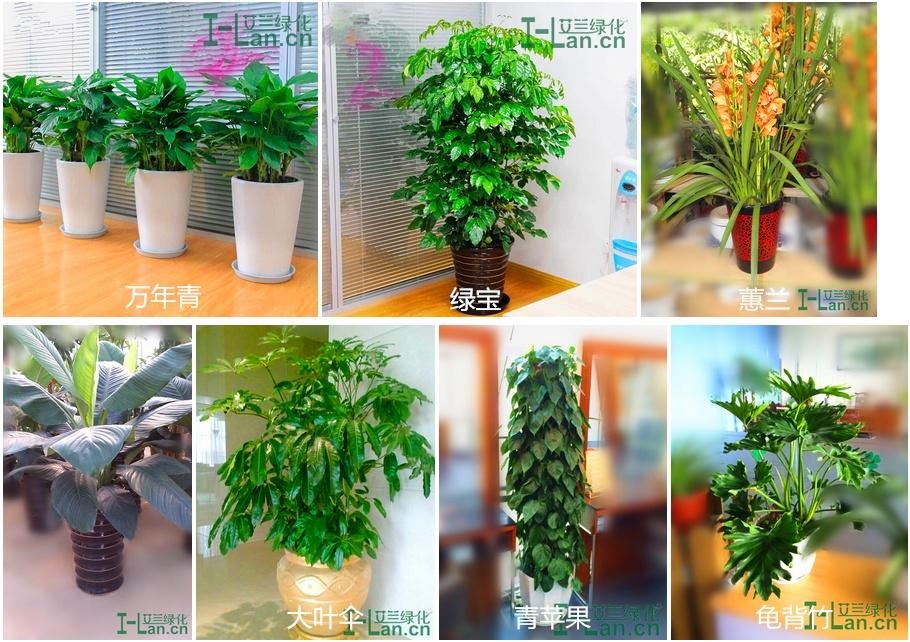 orange����ƽ̨��(�й���)�ٷ���վ