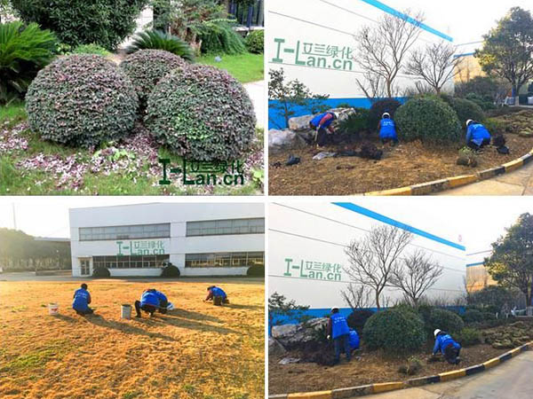 �̻�������Ŀ