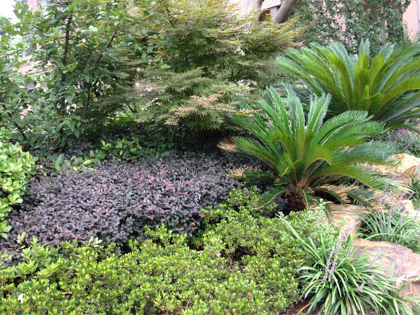 ����ƽ̨������Ը��������