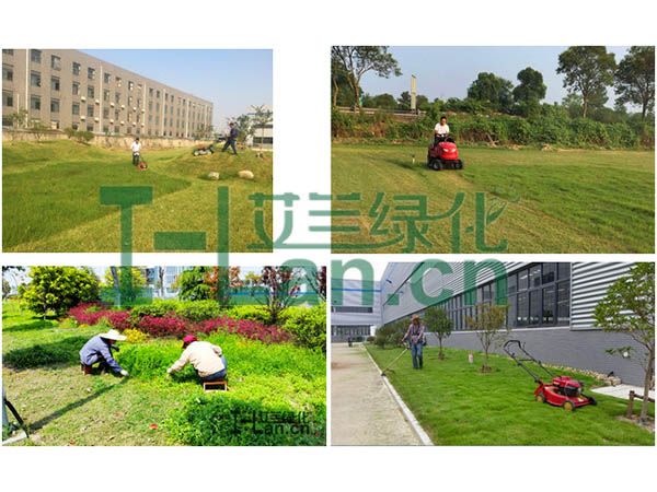 ����԰���̻����ص�����Щ��